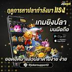 msn bet slot joker